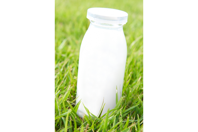 写真：草原に置いた牛乳瓶